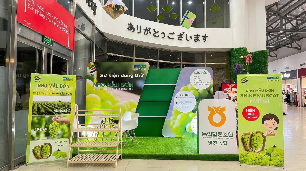 toàn cảnh booth activation nho mẫu đơn tại Lotte Mart Quận 7
