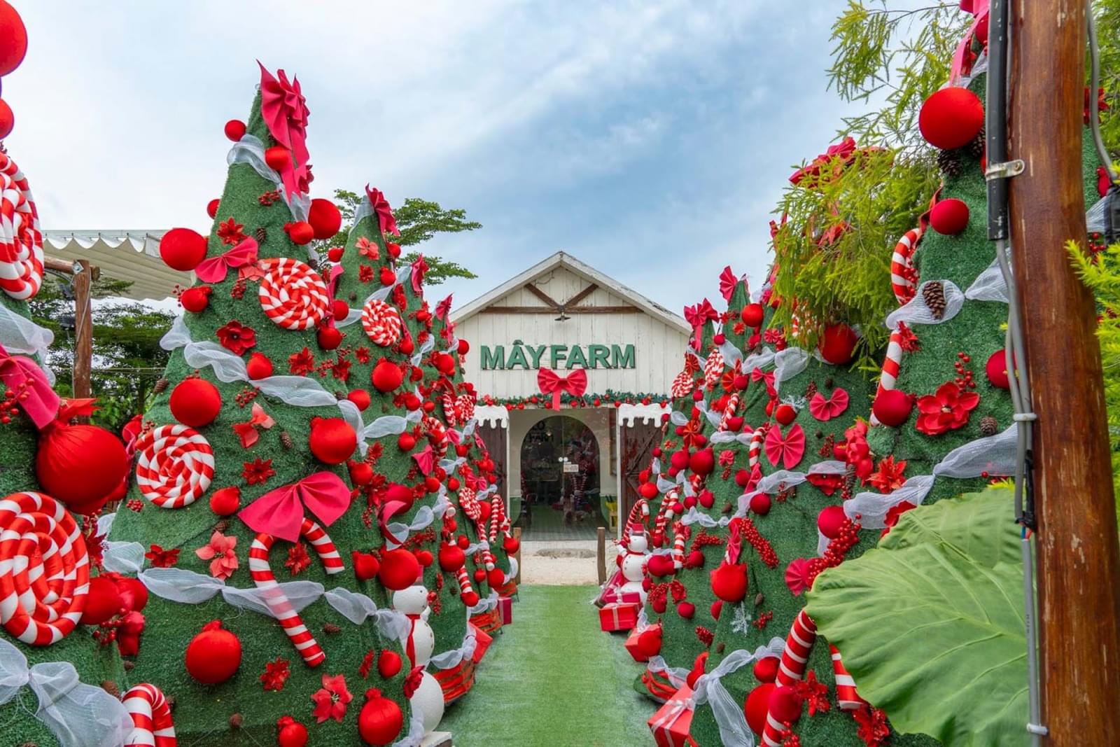 Decor noel quán cafe lộng lẫy 