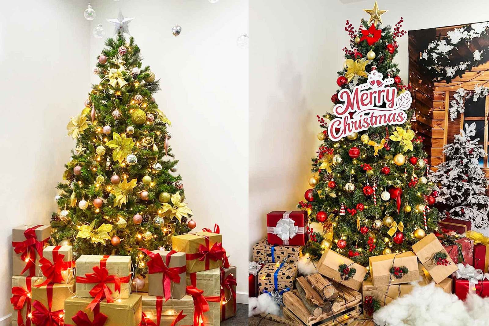 Cây thông lá xanh truyền thống