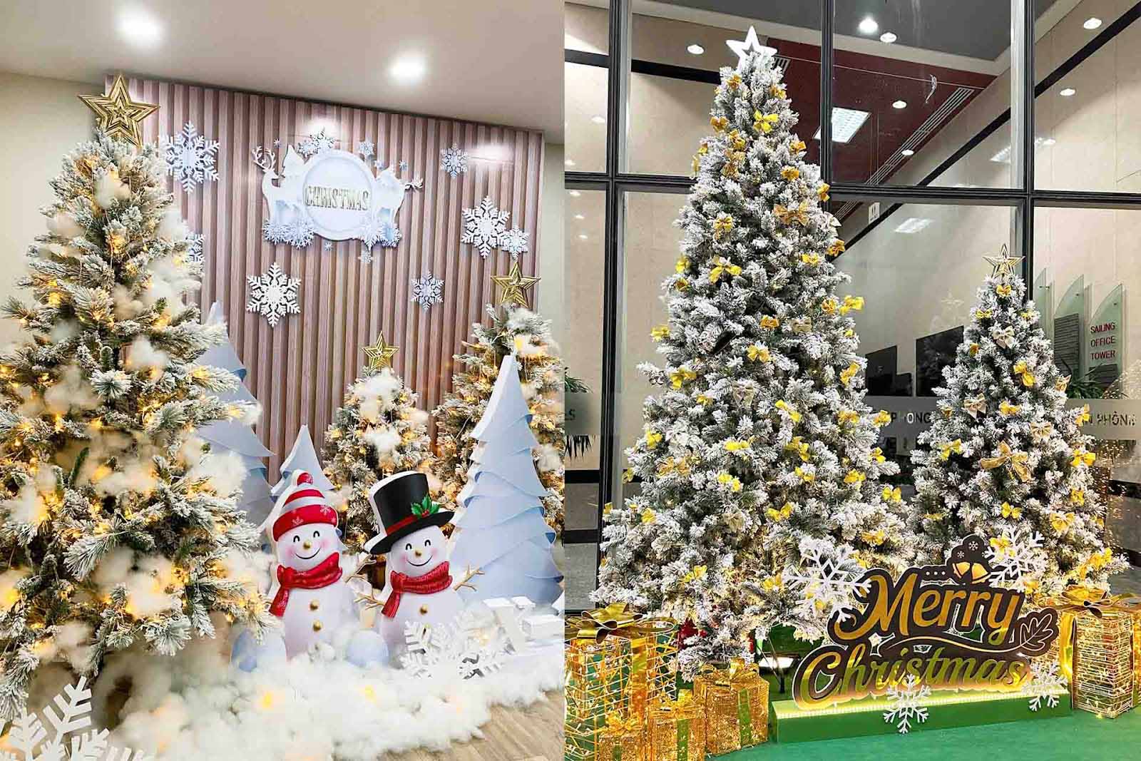 Cây thông noel phủ tuyết