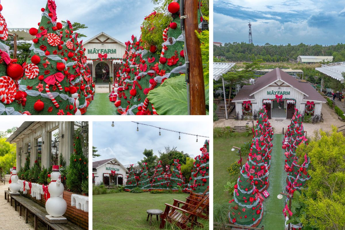 Khu vườn trang trí Giáng sinh tại May Farm với hàng dài cây thông phủ ruy băng đỏ, kẹo trang trí và quả châu nổi bật. Phía trước là ngôi nhà gỗ trắng điểm nơ lớn màu đỏ, không gian xanh mát được điểm xuyết tuyết giả và người tuyết trang trí, mang lại không khí lễ hội tươi vui giữa thiên nhiên.