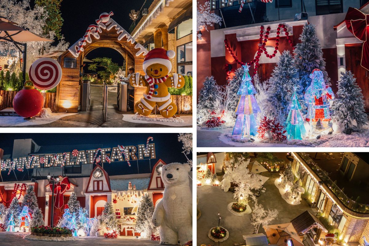 Khuôn viên quán cà phê trang trí Giáng sinh rực rỡ với mô hình người bánh gừng, cây thông phát sáng, gấu Bắc Cực khổng lồ và cổng chào bằng kẹo ngọt. Không gian được thắp sáng lung linh về đêm, mang không khí lễ hội vui tươi và ấm áp