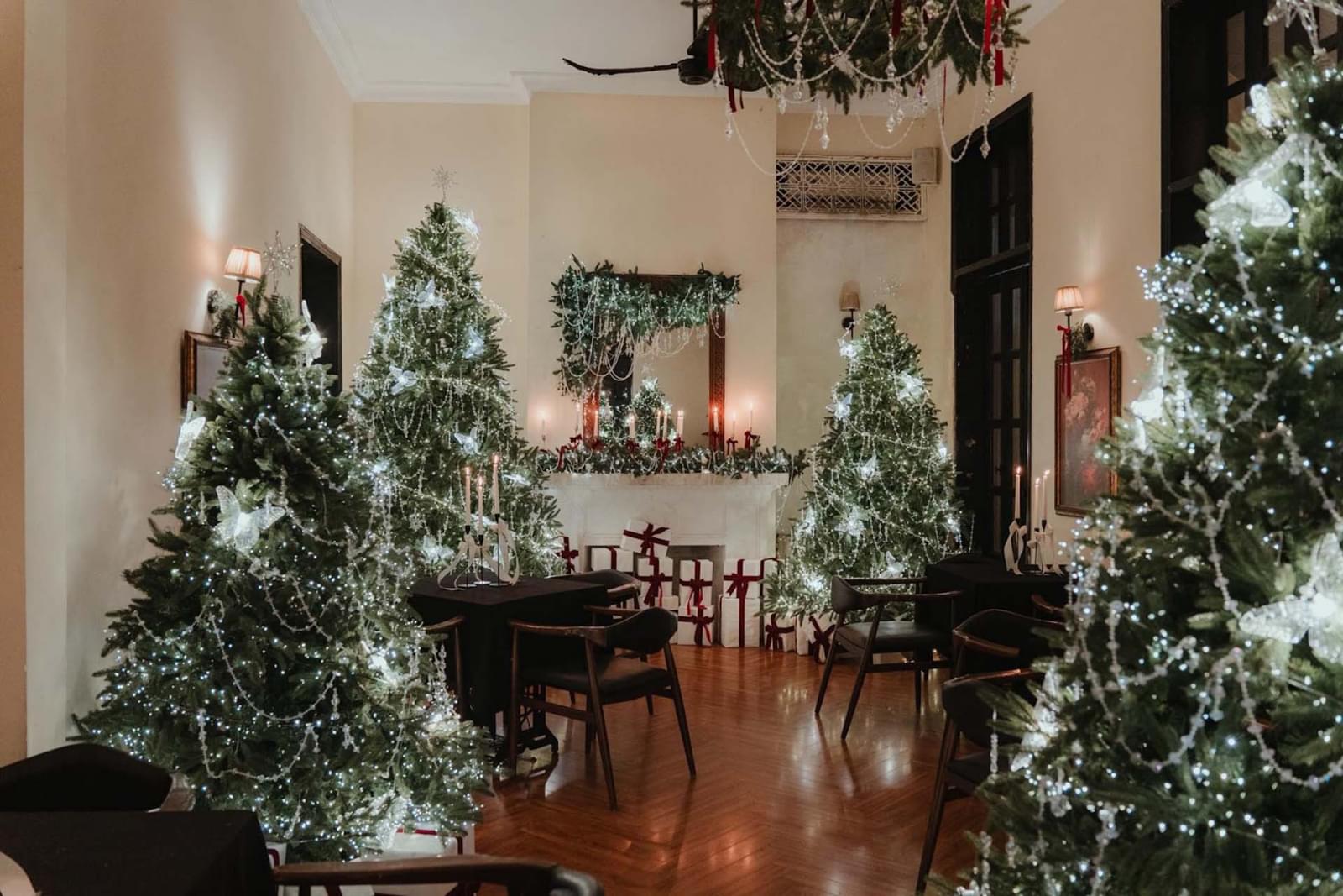 trang trí thông noel lấp lánh